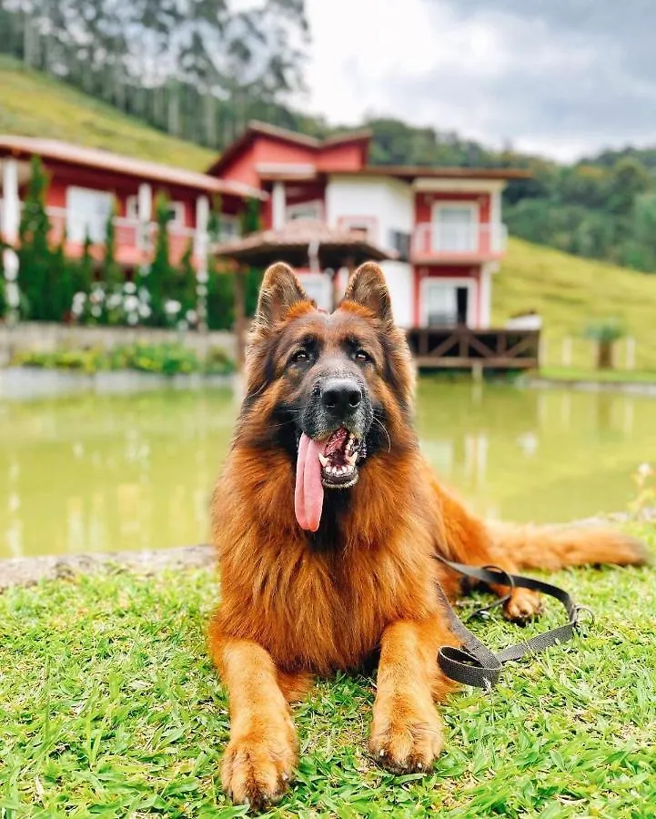 Ampla Casa De Campo - Afaven Aguas Mornas Brazilië